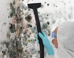 Best Comprehensive Air Testing for Mold Contaminants  in Stanberry, MO